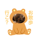 犬の気持ち 〜ちゃみ〜（個別スタンプ：3）