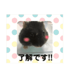 うちのはむちゃん（個別スタンプ：30）