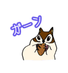 きっと使いやすいスタンプ（個別スタンプ：12）