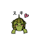 ニホンイシガメぽんた♀（個別スタンプ：4）