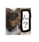 アロンくん（個別スタンプ：3）