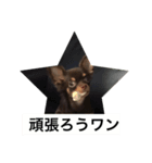 アロンくん（個別スタンプ：6）