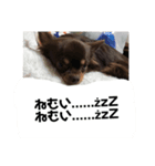 アロンくん（個別スタンプ：7）