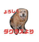 Days of Arash 2（個別スタンプ：31）