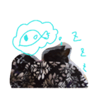 にゃんじゃろ（個別スタンプ：3）