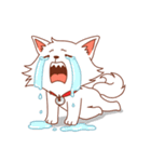 シロとキキ（個別スタンプ：24）