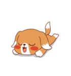 シロとキキ（個別スタンプ：25）