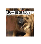 ぴーたんとじんたん（個別スタンプ：6）