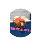 ちゅらはなスタンプ（個別スタンプ：5）