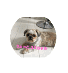 ちゅらはなスタンプ（個別スタンプ：18）