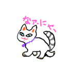 ココチヨ6なぁニャン（個別スタンプ：1）