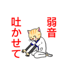 白衣を着たネコvol.3（個別スタンプ：13）