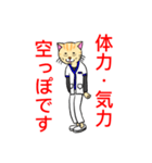 白衣を着たネコvol.3（個別スタンプ：15）