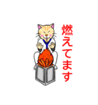 白衣を着たネコvol.3（個別スタンプ：18）