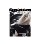 ましゅたんぐ6（個別スタンプ：6）