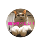 茶色いおへそとカギしっぽ（個別スタンプ：30）