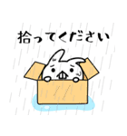 大きな歯うさぎ（個別スタンプ：12）