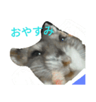 ハムちゃんうさちゃん金魚に鳥（個別スタンプ：8）