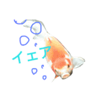 ハムちゃんうさちゃん金魚に鳥（個別スタンプ：14）