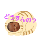はづりん（個別スタンプ：10）