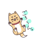 ふくちゃんの毎日スタンプ（個別スタンプ：1）