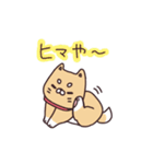 ふくちゃんの毎日スタンプ（個別スタンプ：3）