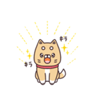 ふくちゃんの毎日スタンプ（個別スタンプ：16）