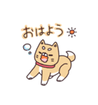 ふくちゃんの毎日スタンプ（個別スタンプ：23）
