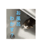 わが家のこうさん（個別スタンプ：10）