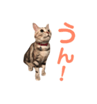 ルナ＆うり（個別スタンプ：10）