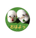 めきゅるきゅる(妖精)（個別スタンプ：13）