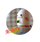 めきゅるきゅる(妖精)（個別スタンプ：15）