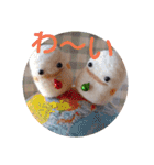 めきゅるきゅる(妖精)（個別スタンプ：16）
