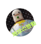 めきゅるきゅる(妖精)（個別スタンプ：31）