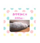 モフモフきなお（個別スタンプ：4）