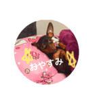 ぷろたん（個別スタンプ：8）