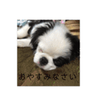 こぐとひぐの会話スタンプ（個別スタンプ：4）