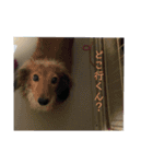 こぐとひぐの会話スタンプ（個別スタンプ：5）