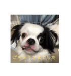 こぐとひぐの会話スタンプ（個別スタンプ：6）