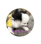 こぐとひぐの会話スタンプ（個別スタンプ：9）