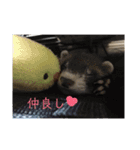 こぐとひぐの会話スタンプ（個別スタンプ：13）