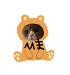 我が家の福まるちゃん（個別スタンプ：1）