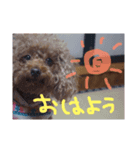 こばみれさんの家族（個別スタンプ：3）
