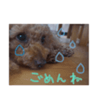 こばみれさんの家族（個別スタンプ：7）