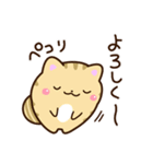 【毎日使える】★ねこっち（個別スタンプ：7）