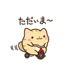 【毎日使える】★ねこっち（個別スタンプ：19）