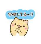 【毎日使える】★ねこっち（個別スタンプ：21）