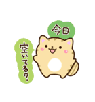 【毎日使える】★ねこっち（個別スタンプ：23）