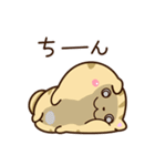 【毎日使える】★ねこっち（個別スタンプ：29）