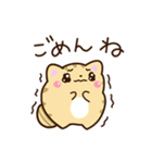【毎日使える】★ねこっち（個別スタンプ：31）
